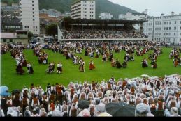 sadetta Bergenissa.jpg