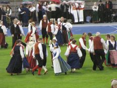 vauhtia kentalla.jpg